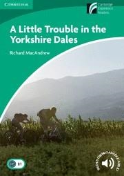 A LITTLE TROUBLE IN THE YORKSHIRE DALES | 9788483235843 | MACANDREW, RICHARD