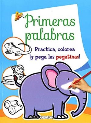 PRIMERAS PALABRAS PRACTICA  (AZUL) | 9788417489106
