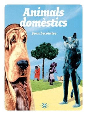 ANIMALS DOMÈSTICS | 9788493991265 | LACOINTRE, JEAN