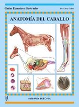 ANATOMÍA DEL CABALLO | 9788425515736 | COLLES, CHRIS