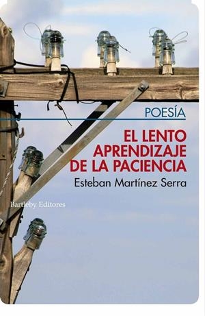 LENTO APRENDIZAJE DE LA PACIENCIA, EL | 9788412013238 | MARTINEZ SERRA, ESTEBAN