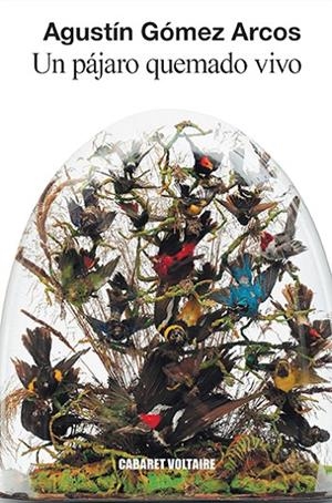 PÁJARO QUEMADO VIVO, UN | 9788494941443 | GÓMEZ ARCOS, AGUSTÍN