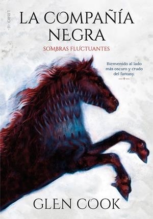 SOMBRAS FLUCTUANTES | 9788417671587 | COOK, GLEN