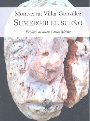 SUMERGIR EL SUEÑO | 9788412008722 | VILLAR GONZÁLEZ, MONTSERRAT