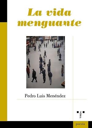 VIDA MENGUANTE, LA | 9788417767198 | MENENDEZ, PEDRO LUIS