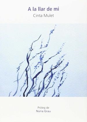 A LA LLAR DE MI | 9788494395154 | MULET GRAU, CINTA