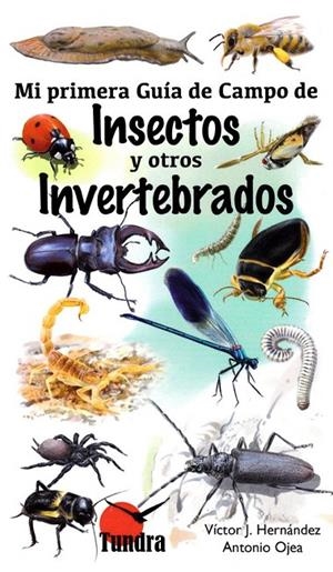 MI PRIMERA GUÍA DE CAMPO DE INSECTOS Y OTROS INVERTEBRADOS | 9788416702435 | HERNANDEZ, VICTOR J.