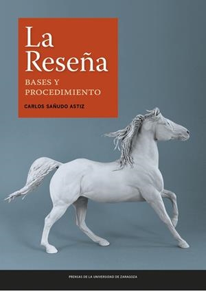 RESEÑA, LA. BASES Y PROCEDIMIENTO | 9788416933976 | SAÑUDO ASTIZ, CARLOS