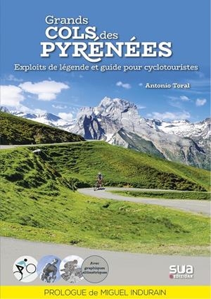 GRANDS COLS DES PYRÉNÉES | 9788482166650 | TORAL PEREZ, ANTONIO