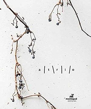 ATRIO | 9788472121744 | PÉREZ POZO, JOSÉ ANTONIO / POLO CRIADO, JOSÉ