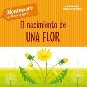 NACIMIENTO DE UNA FLOR, EL | 9788468261683 | PIRODDI, CHIARA