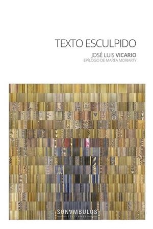 TEXTO ESCULPIDO | 9788412014990 | VICARIO, JOSE LUIS