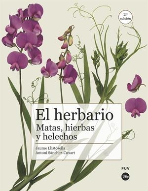 HERBARIO, EL. MATAS, HIERBAS Y HELECHOS (2A EDICIÓN) | 9788491682950 | LLISTOSELLA, JAUME