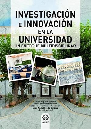 INVESTIGACION E INNOVACION EN LA UNIVERSIDAD | 9788497008648