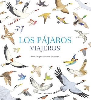 PÁJAROS VIAJEROS, LOS | 9788467935028 | DAUGEY, FLEUR / THOMMEN, SANDRINE