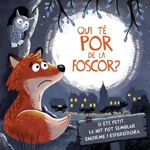 QUI TÉ POR DE LA FOSCOR? | 9788491674252