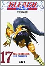 BLEACH 17 | 9788483573198 | KUBO, TITE