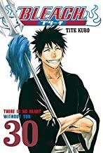 BLEACH 30 | 9788483575864 | KUBO, TITE