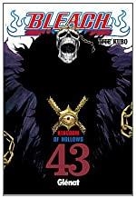 BLEACH 43 | 9788499472799 | KUBO, TITE