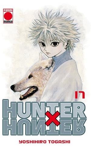 HUNTER X HUNTER 17 | 9788490248553 | TOGASHI, YOSHIHIRO