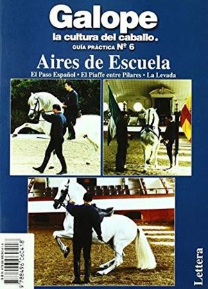 AIRES DE ESCUELA. GUIA PRACTICA N.6 | 9788496060418