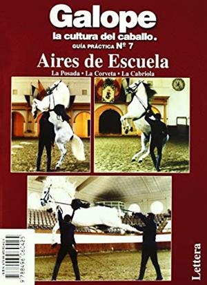 AIRES DE ESCUELA. GUIA PRACTICA N.7 | 9788496060425