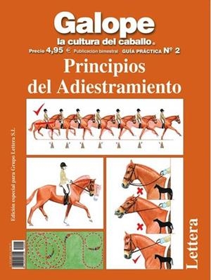 GUÍA PRÁCTICA DE PRINCIPIOS DE ADIESTRAMIENTO | 9788496060364 | STEVENS, MICHAEL J.