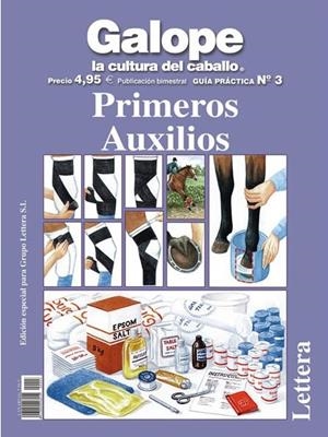 GUÍA PRÁCTICA PRIMEROS AUXILIOS | 9788496060395 | HOLDERNESS-RODDAM, JANE