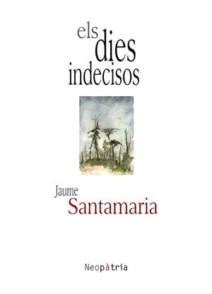DIES INDECISOS, ELS | 9788416833153 | SANTAMARIA SEBASTIAN, JAUME