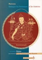 DISTINGUIR LOS FENÓMENOS Y EL SER AUTÉNTICO DE MAITREYA | 9788493269869 | MIPHAM, LAMA / TSULTRIM GYAMTSO RINPOCHE, KHENPO