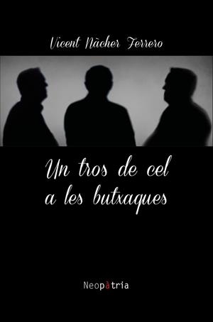 TROS DE CEL A LES BUTXAQUES, UN | 9788417464493 | N&#192;CHER FERRERO, VICENT