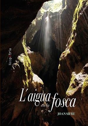 AIGUA EN LA FOSCA, L' | 9788416833412 | JOAN E. SIFRE MONTALVÀ