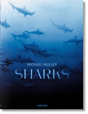 SHARKS | 9783836553599 | MULLER, MICHAEL
