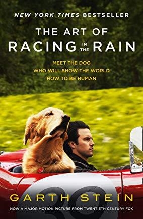 ART OF RACING IN THE RAIN, THE | 9780008347666 | STEIN, GARTH