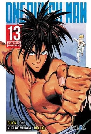 ONE PUNCH-MAN 13 | 9788417099152 | ONE / MURATA, YUSUKE