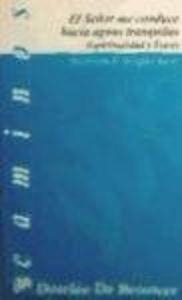 SEÑOR ME CONDUCE HACIA AGUAS TRANQUILAS, EL. ESPIRITUALIDAD Y ESTRES | 9788433012319 | RODGERSON, THOMAS E.