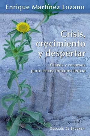 CRISIS CRECIMIENTO Y DESPERTAR | 9788433026323 | MARTINEZ LOZANO, ENRIQUE