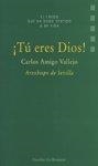 TU ERES DIOS | 9788433016447 | AMIGO VALLEJO, CARLOS