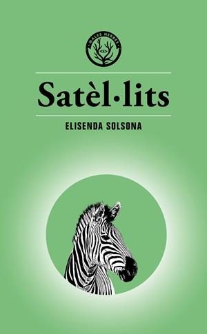 SATÈL·LITS | 9788494917073 | SOLSONA, ELISENDA