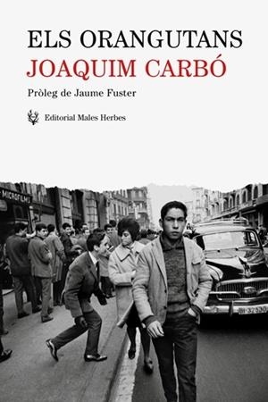 ORANGUTANS, ELS | 9788494725821 | CARBÓ, JOAQUIM