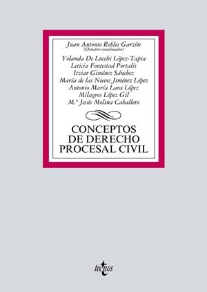 CONCEPTOS DE DERECHO PROCESAL CIVIL | 9788430971589 | ROBLES GARZÓN, JUAN ANTONIO / LUCCHI LÓPEZ-TAPIA, YOLANDA DE / FONTESTAD PORTALÉS, LETICIA