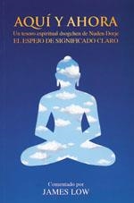 AQUÍ Y AHORA. UN TESORO ESPIRITUAL DSOGCHEN DE NUDEN DORJE. EL ESPEJO DE SIGNIFICADO CLARO | 9788496478572 | NUDEN DORJE