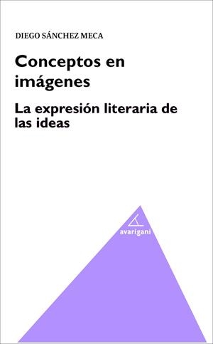 CONCEPTOS EN IMÁGENES. LA EXPRESIÓN LITERARIA DE LAS IDEAS | 9788494388262 | SANCHEZ MECA, DIEGO