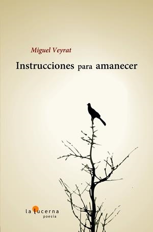 INSTRUCCIONES PARA AMANECER | 9788494611704 | VEYRAT, MIGUEL