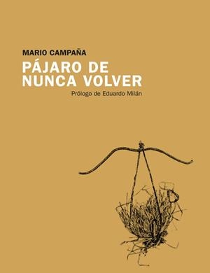 PÁJARO DE NUNCA VOLVER | 9788415934301 | CAMPAÑA, MARIO