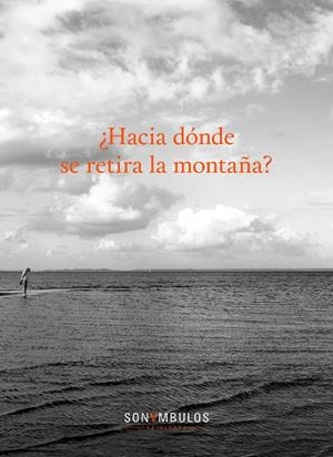 ¿HACIA DÓNDE SE DIRIGE LA MONTAÑA? | 9788494653407 | VARIOS AUTORES