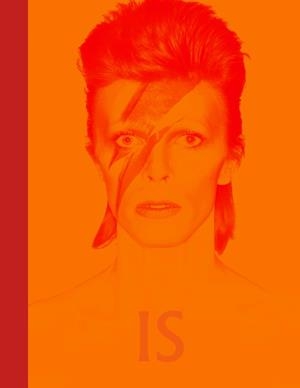 DAVID BOWIE IS INSIDE | 9788416665624 | BROACKES, VICTORIA / MARSH, GEOFFREY