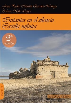 INSTANTES EN EL SILENCIO. CASTILLA INFINITA. | 9788494750540 | MARTIN / NIñO