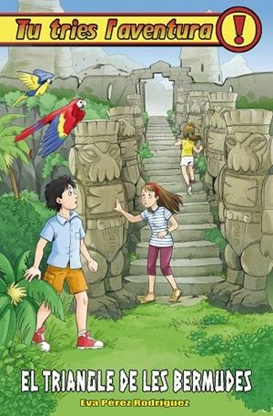 TRIANGLE DE LES BERMUDES, EL | 9788416387540 | PEREZ RODRIGUEZ, EVA