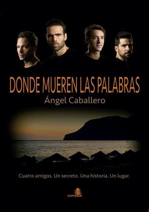 DONDE MUEREN LAS PALABRAS | 9788494124617 | CABALLERO FERNANDEZ, ANGEL